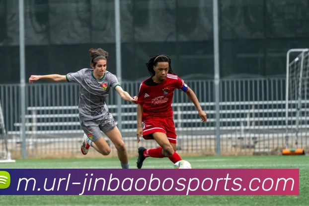 多媒体互动体验